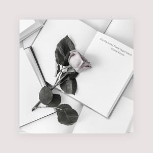 暴躁妹妹免费观看40集电视剧
